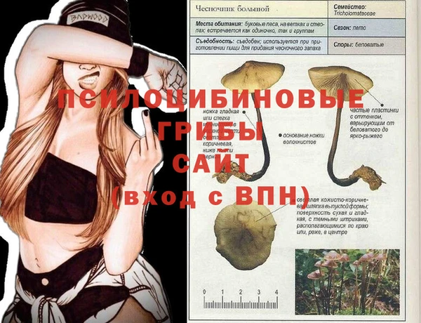 МДПВ Алексеевка