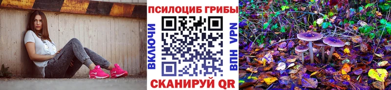 Псилоцибиновые грибы Magic Shrooms Лихославль